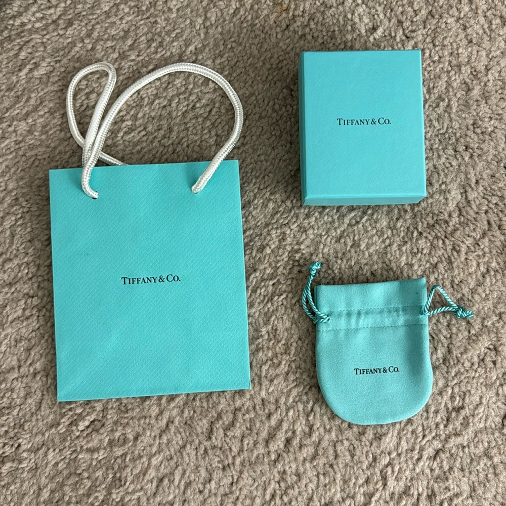 Tiffany & Co. packaging bag